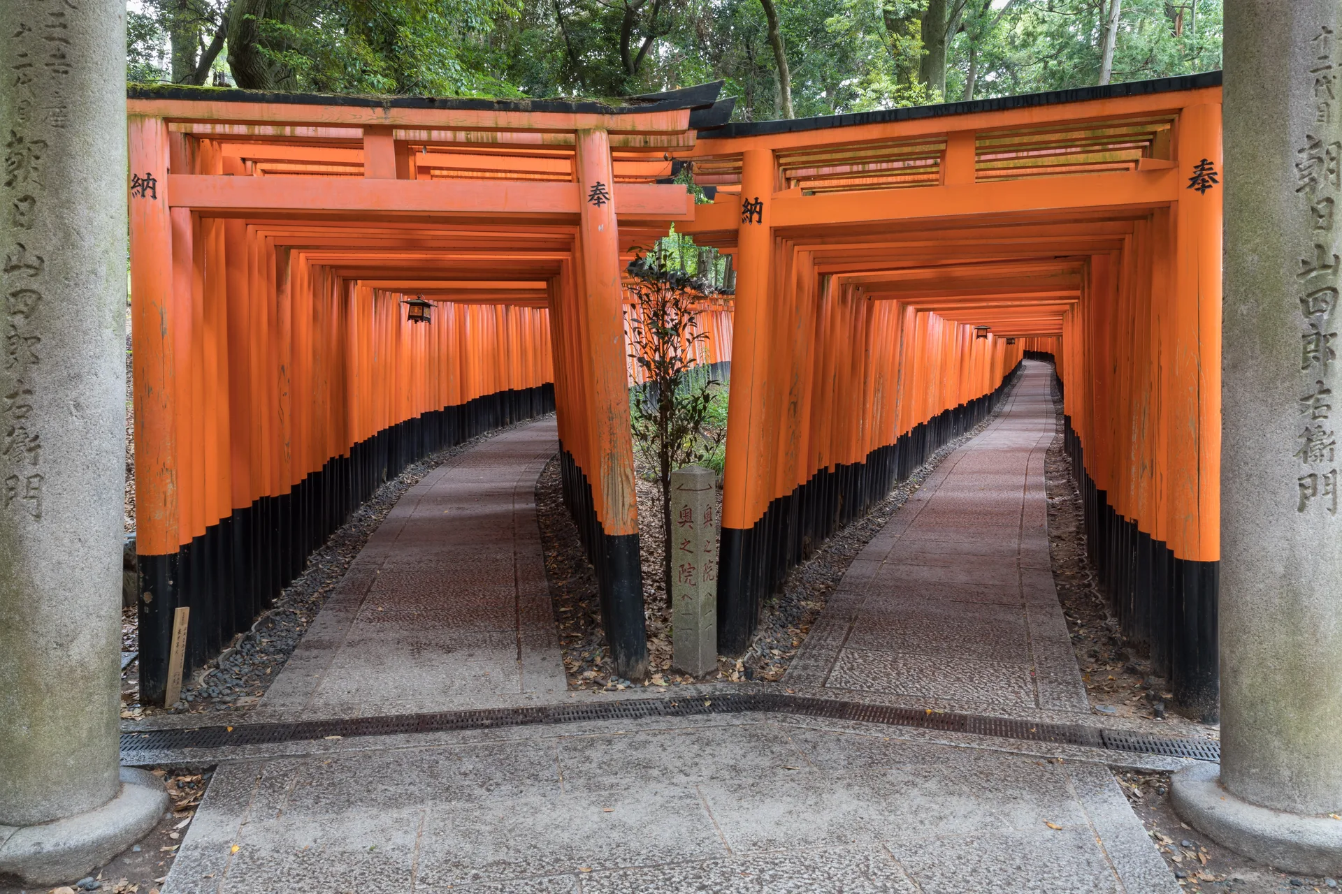 Svatyně Fushimi Inari