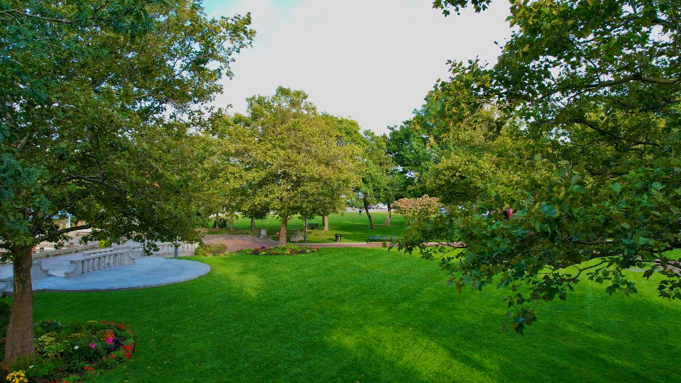 A lawn and mature trees in a landscaped park