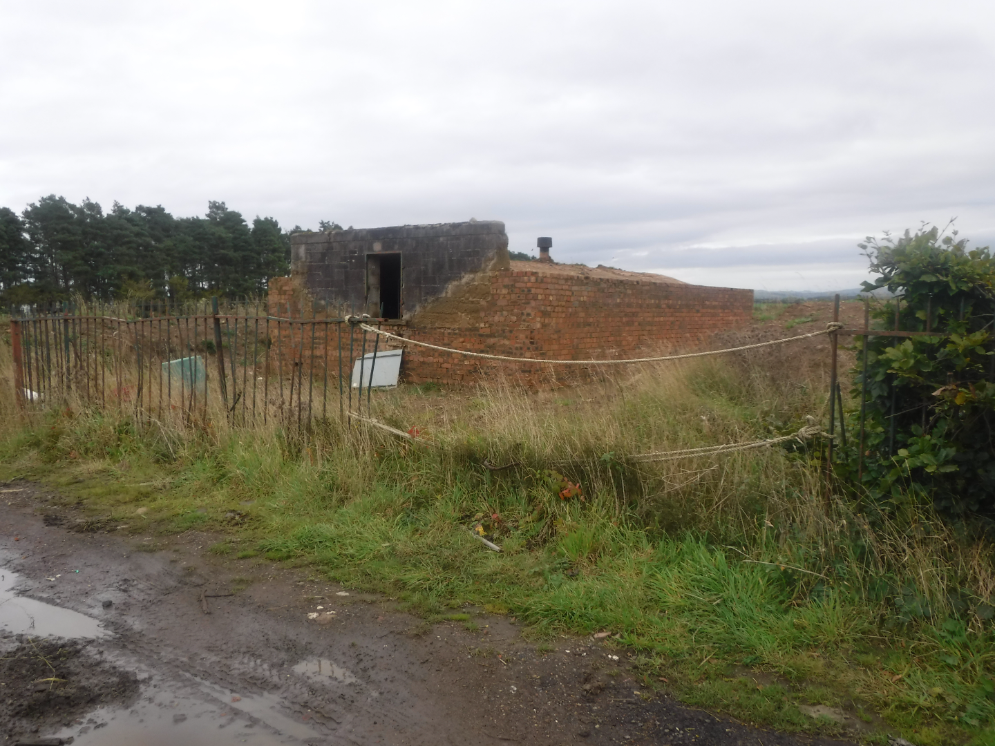 lan158156 - ListingImage 4