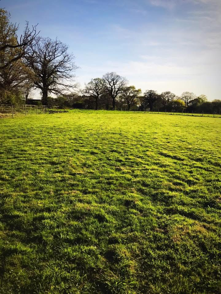 Rare small site just launched for auction. - ListingImage 1