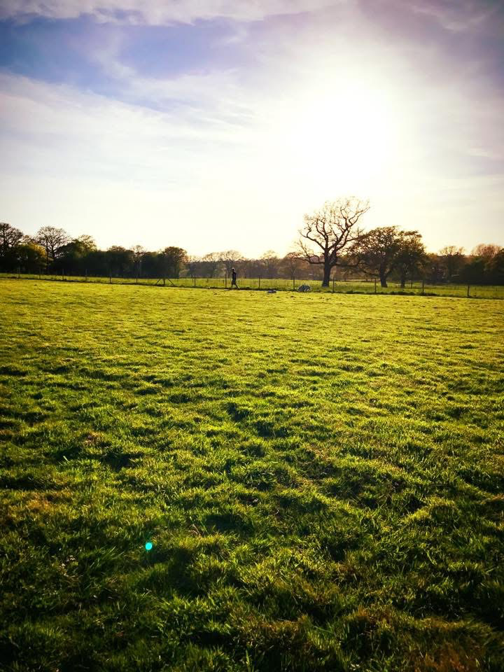 Rare small site just launched for auction. - ListingImage 2