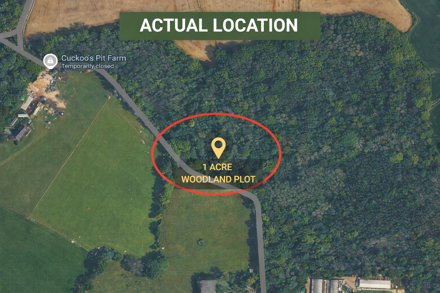 1 Acre Woodland for Sale – Freehold Land Kent UK Near London - ListingImage 5
