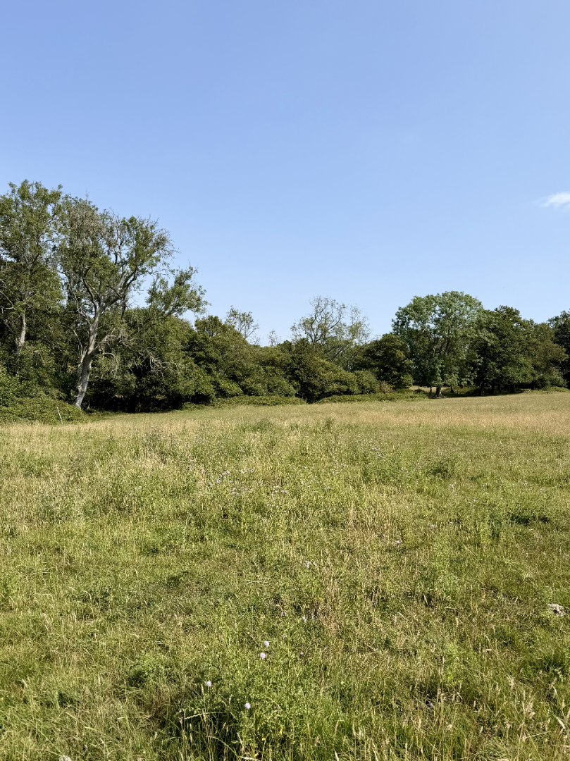 Freehold Land for Sale - Plot 18A, 0.46 Acres, Cowden, Kent - ListingImage 3