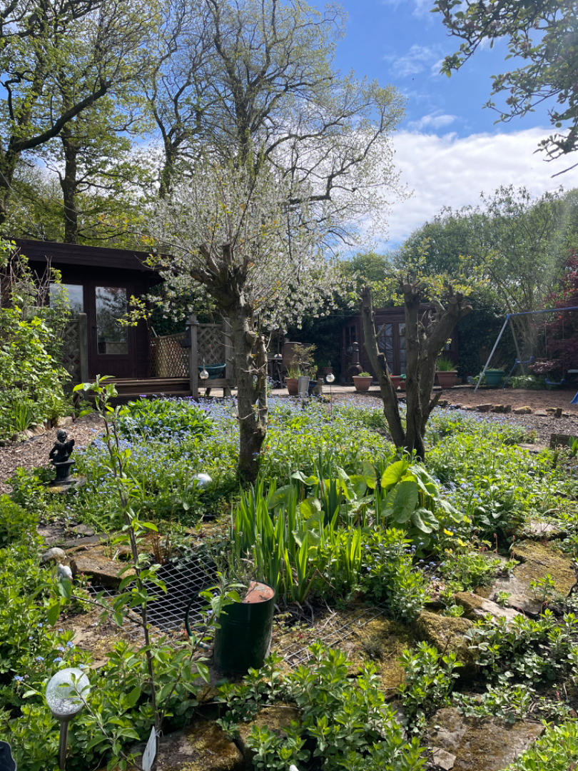 3 Bed 2 acre Smallholding Lancashire  - ListingImage 4