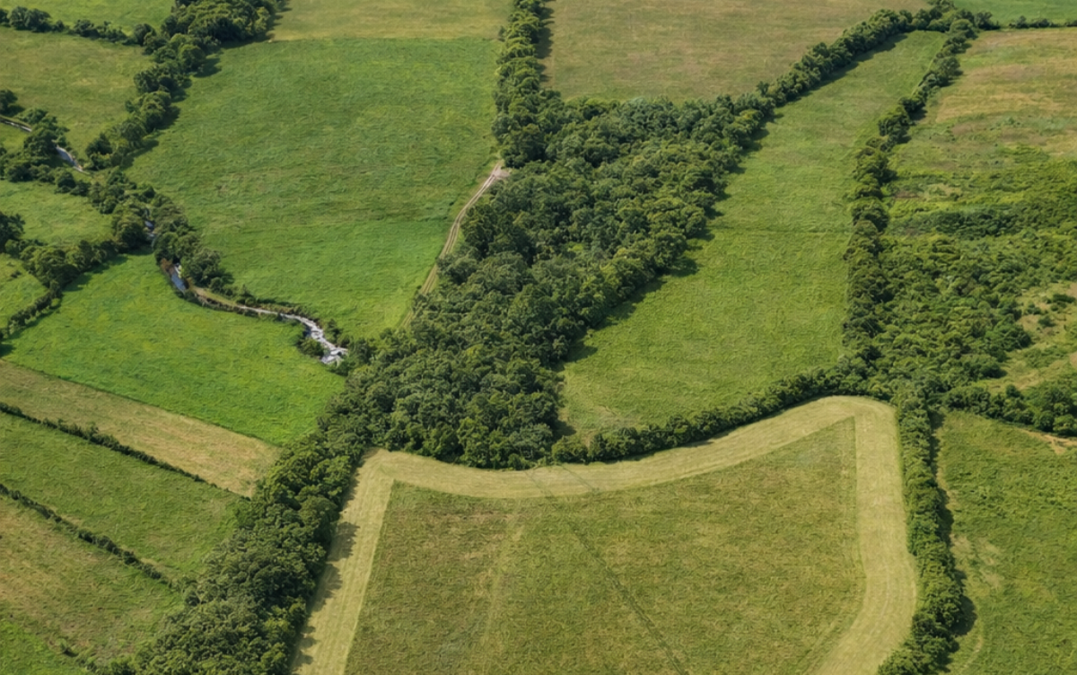 Countryside Land Near London - ListingImage 3