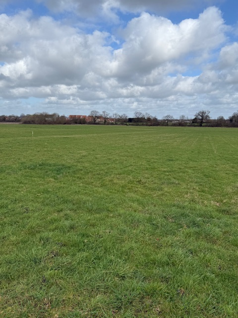 0.2 acre pasture land - ListingImage 3