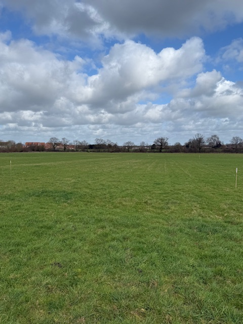 0.2 acre pasture land - ListingImage 4