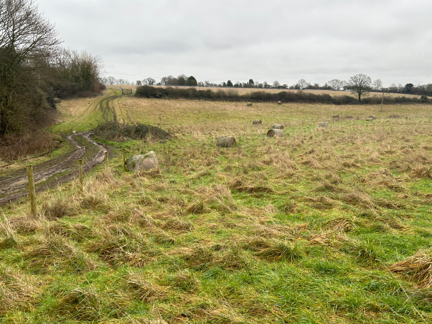 Mancroft road - ListingImage 3