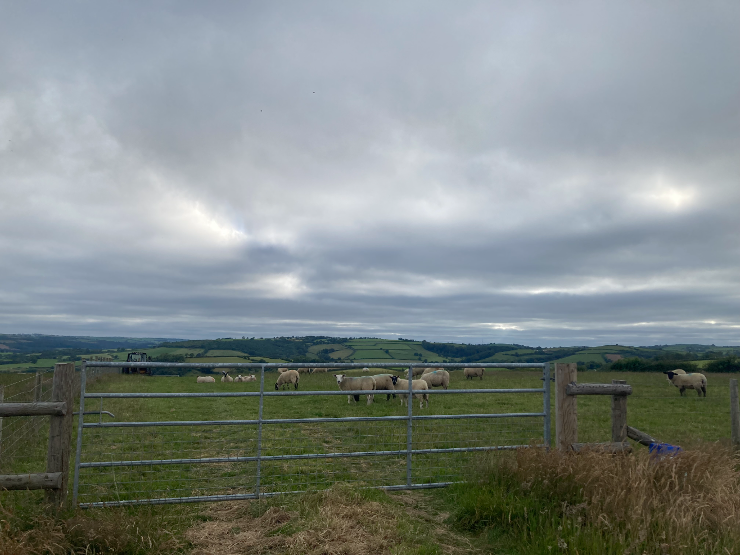 	19.49 ACRES OF FARM LAND FOR SALE WITH YARD AND OUTBUILDINGS  •	Llangynin, St Clears, SA334JY •	OIRO £299,950 - ListingImage 2