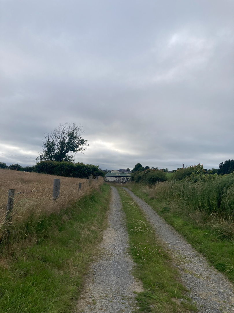 	19.49 ACRES OF FARM LAND FOR SALE WITH YARD AND OUTBUILDINGS  •	Llangynin, St Clears, SA334JY •	OIRO £299,950 - ListingImage 5