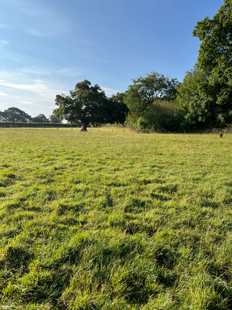 Land for sale - Shrewley Warwickshire  - ListingImage 5