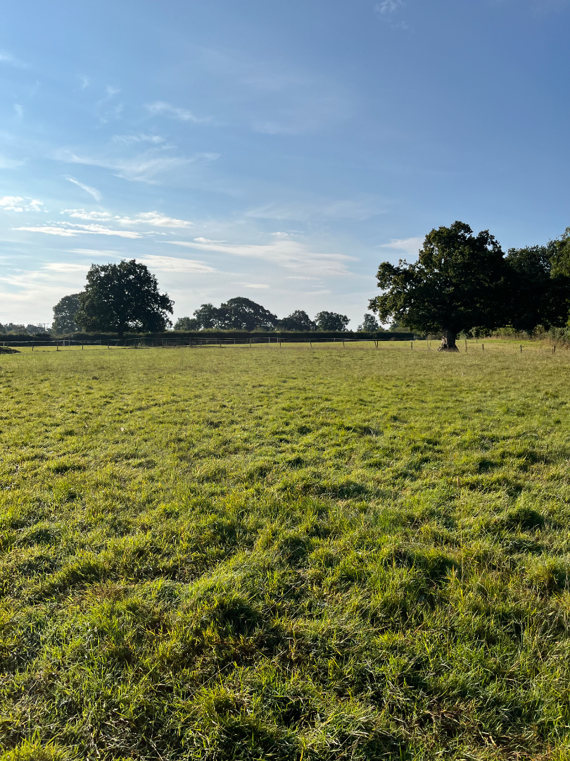 Land for sale - Shrewley Warwickshire  - ListingImage 4