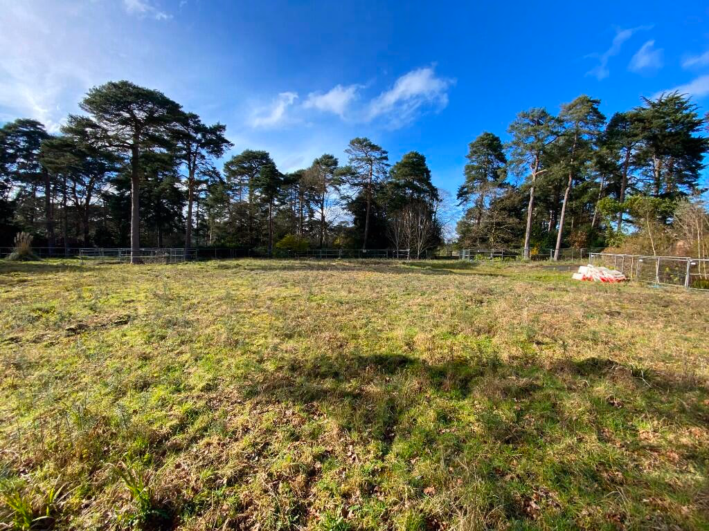 Plot for sale - Image 2