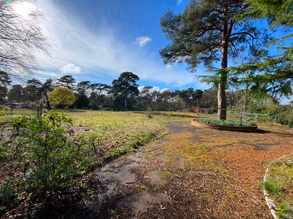 Plot for sale - Image 4