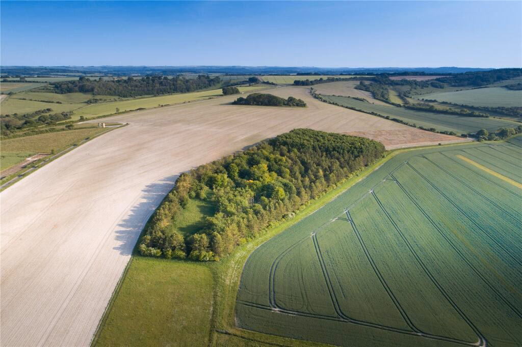 Land for sale - Image 1