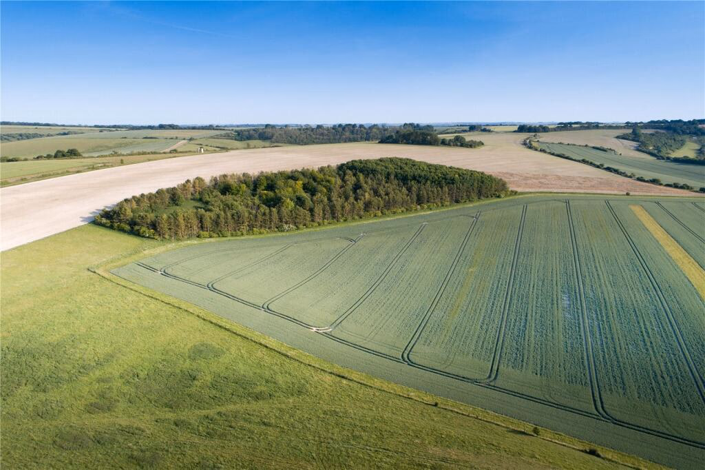 Land for sale - Image 2