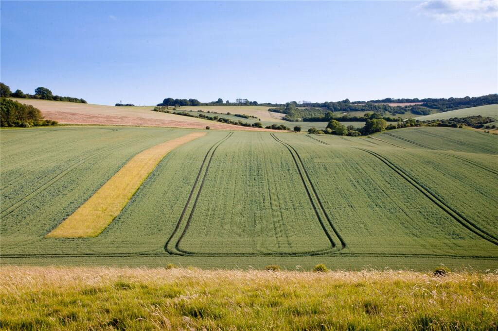 Land for sale - Image 5