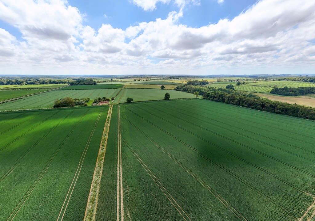 Farm land for sale - Image 2