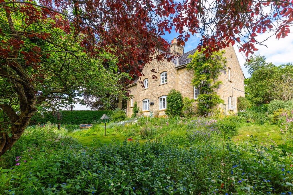 Farm land for sale - Image 3