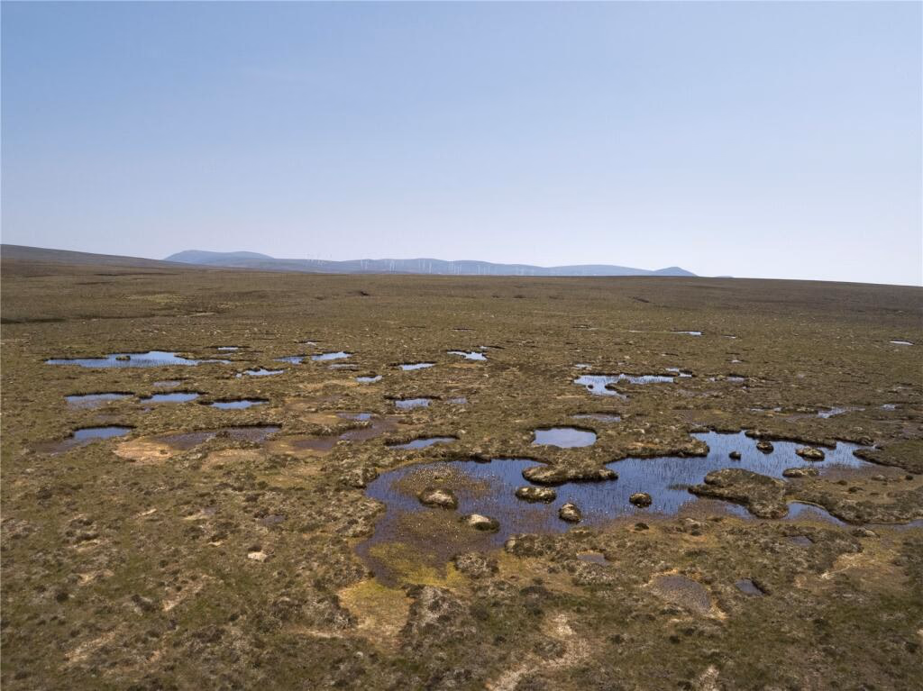 Land for sale - Image 1