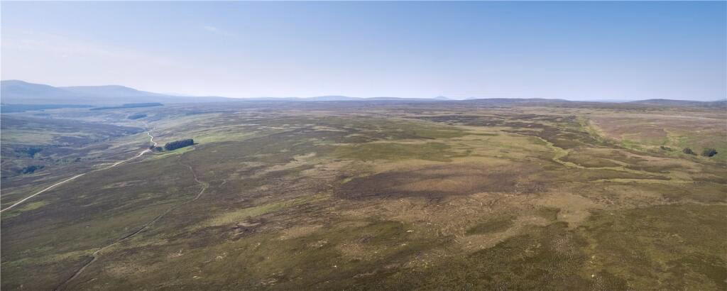 Land for sale - Image 2