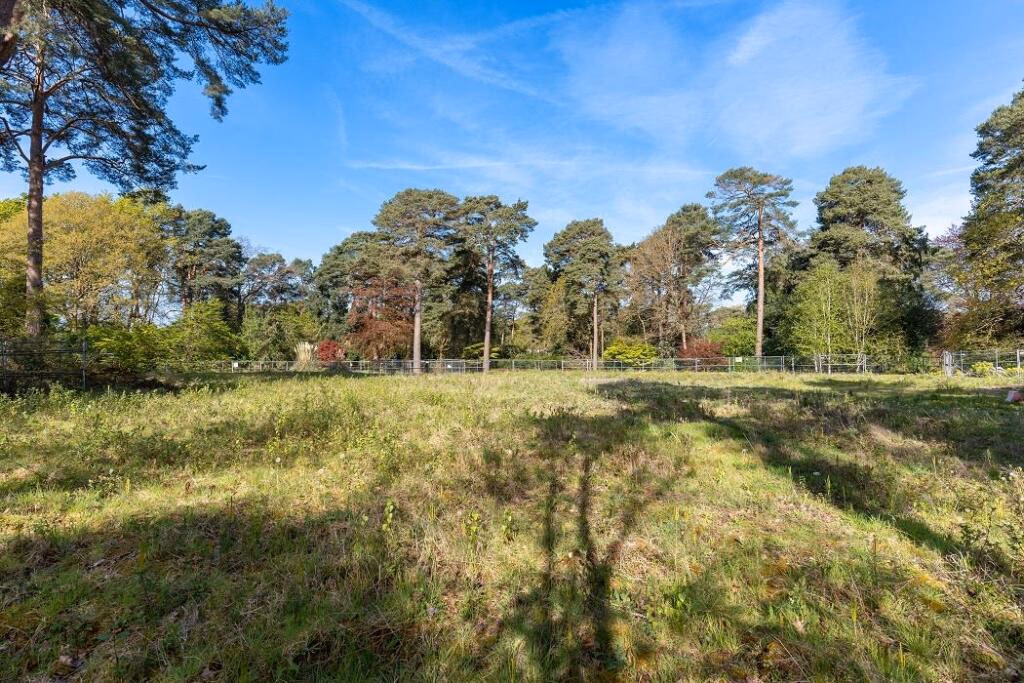 Plot for sale - Image 3