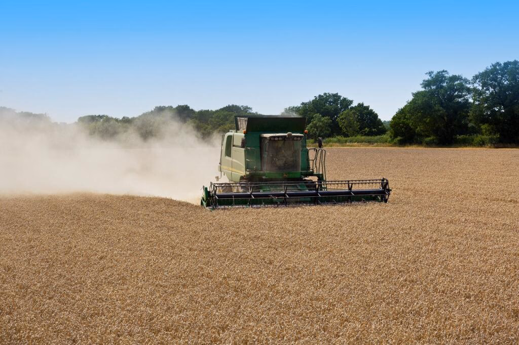 Farm land for sale - Image 3