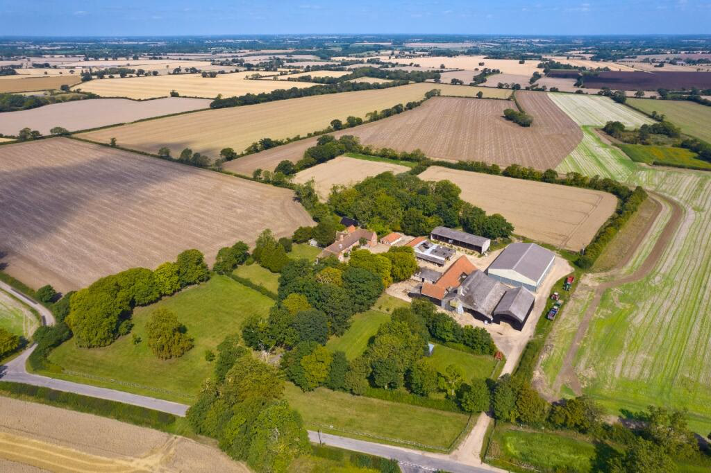 Farm land for sale - Image 4