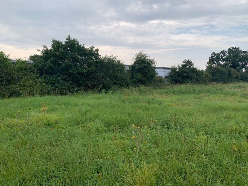 Plot for sale - Image 5