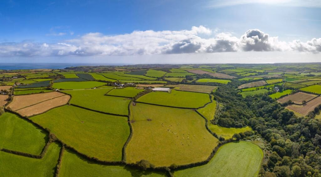 Farm land for sale - Image 4