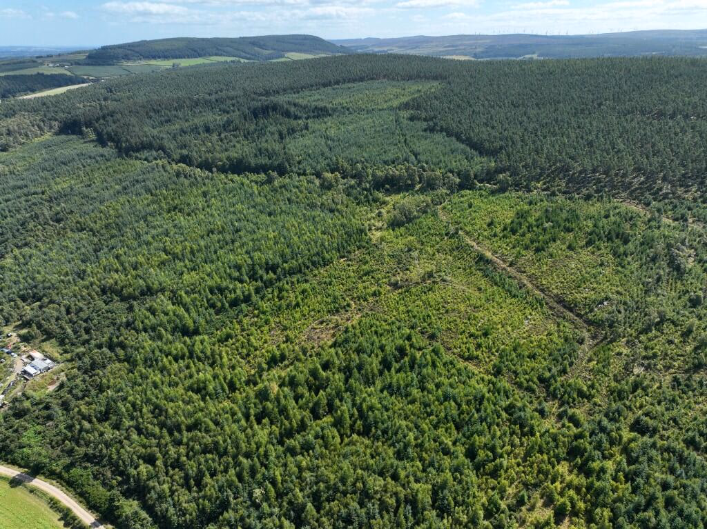 Land for sale - Image 1