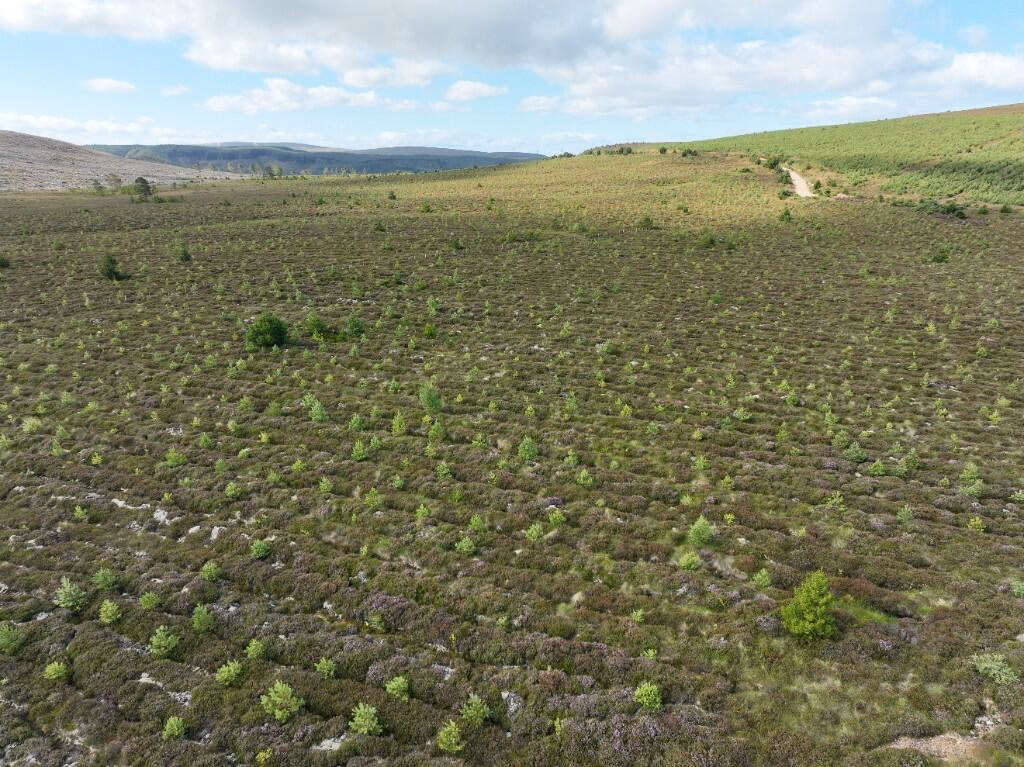 Land for sale - Image 2