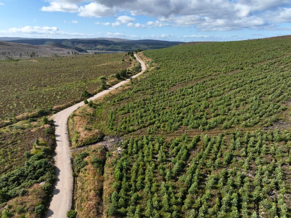 Land for sale - Image 3