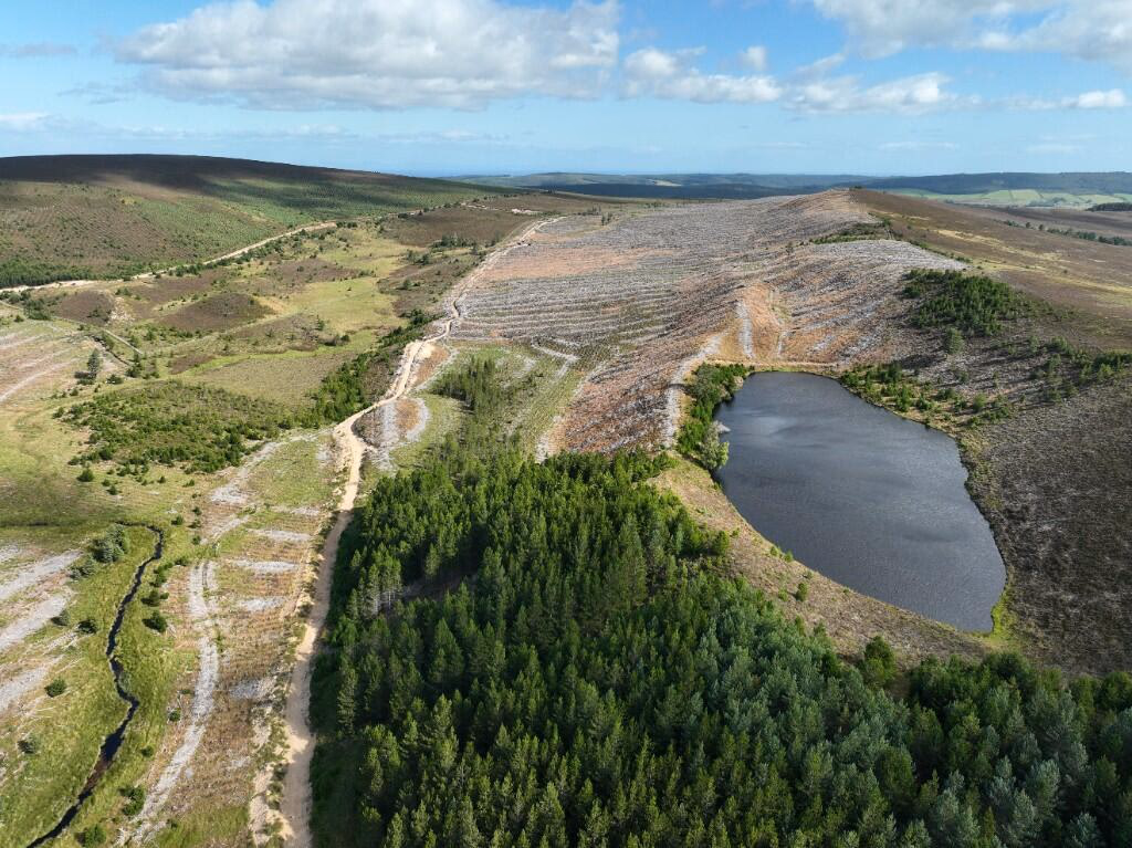 Land for sale - Image 5