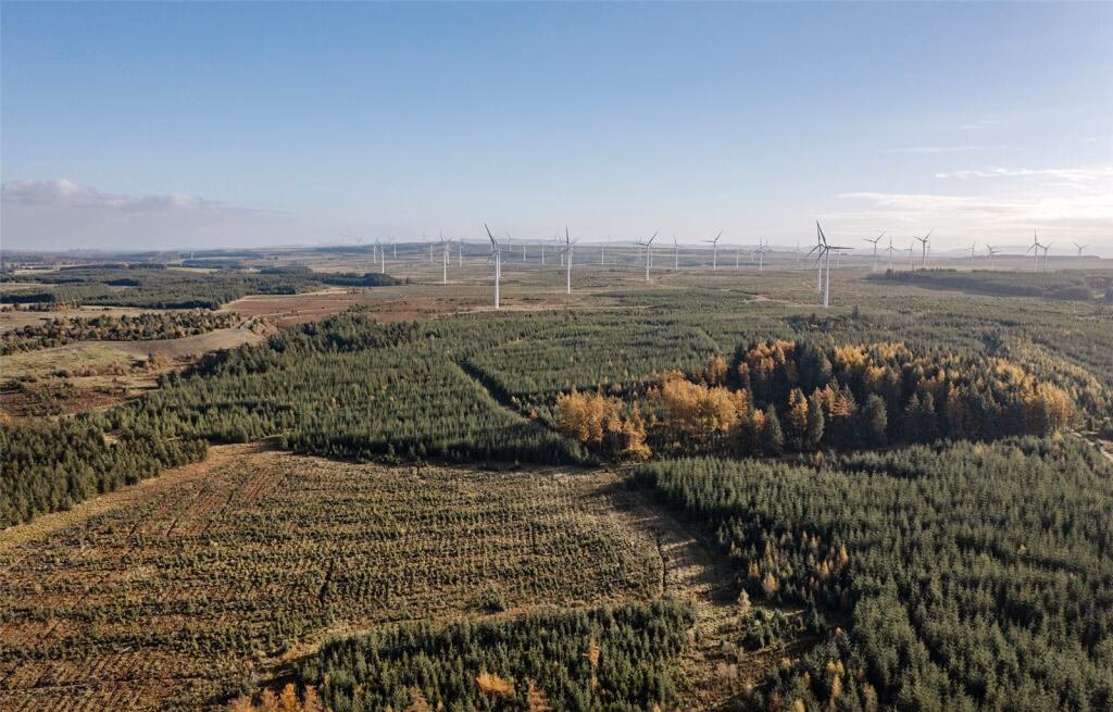 Land for sale - Image 1