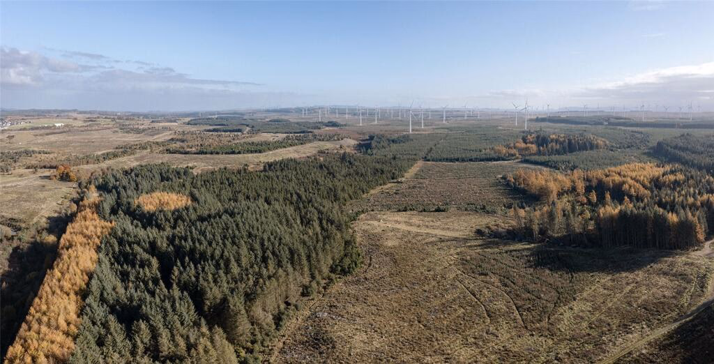 Land for sale - Image 2