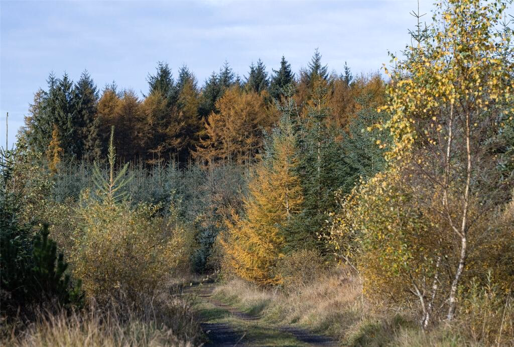 Land for sale - Image 3