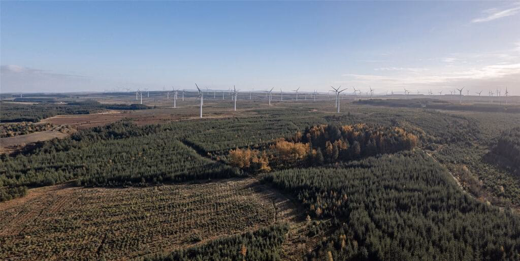 Land for sale - Image 5