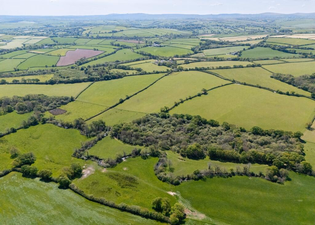 Land for sale - Image 2