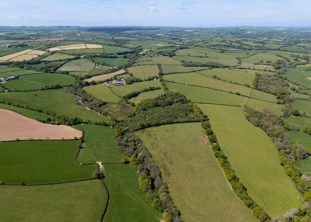 Land for sale - Image 4