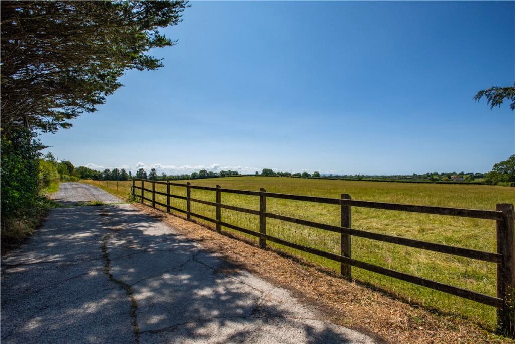 Farm land for sale - Image 3