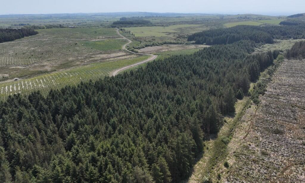 Land for sale - Image 2