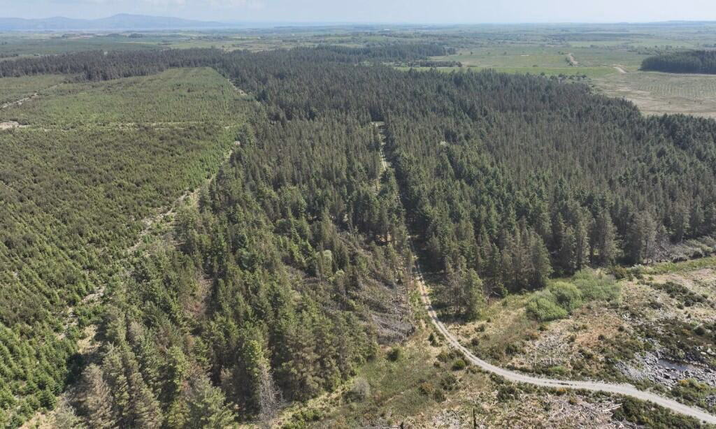 Land for sale - Image 3