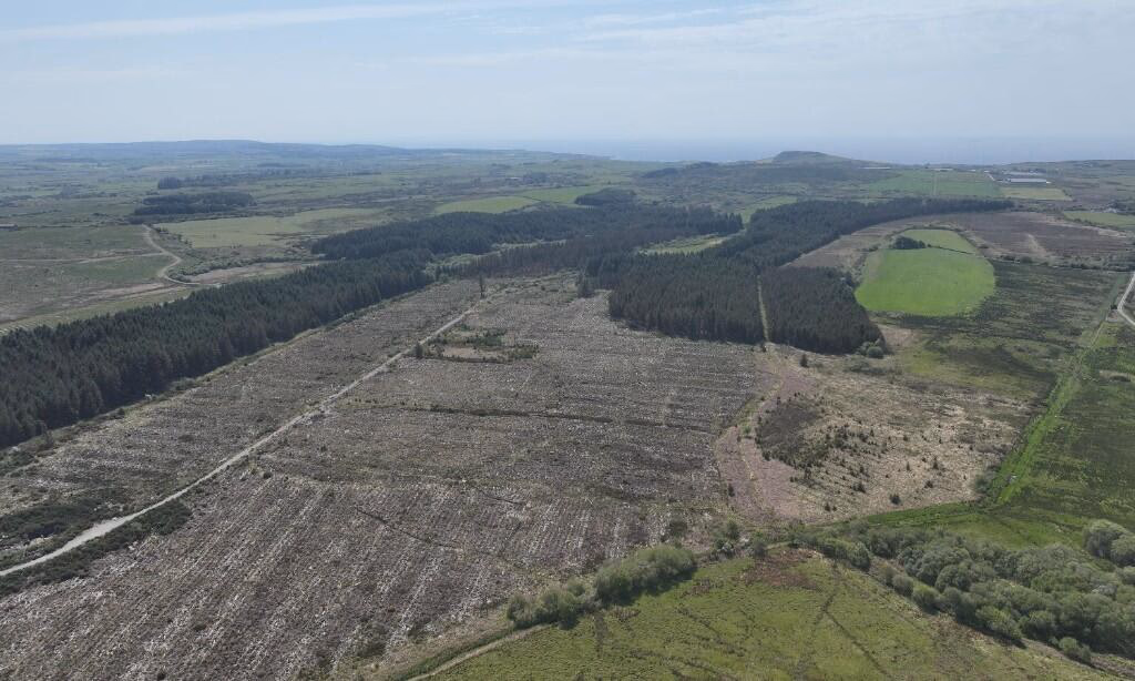 Land for sale - Image 4