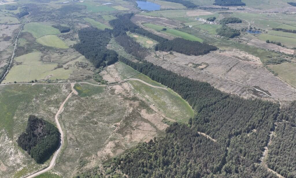 Land for sale - Image 5