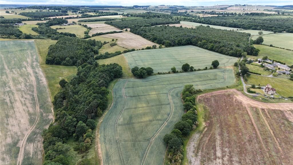 Land for sale - Image 2