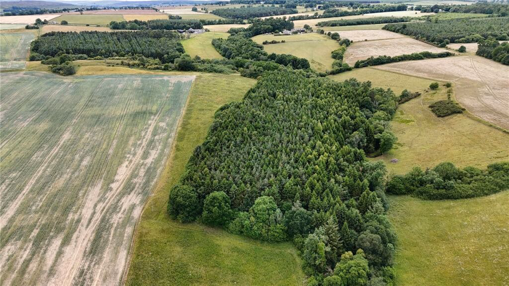 Land for sale - Image 5