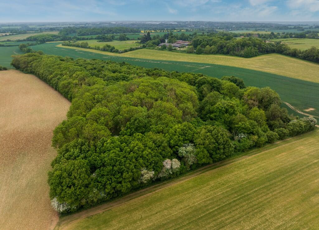 Land for sale - Image 2