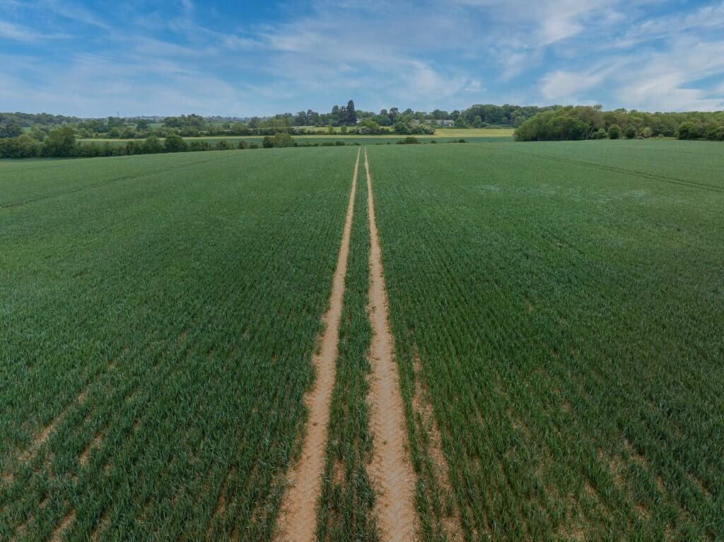 Land for sale - Image 3