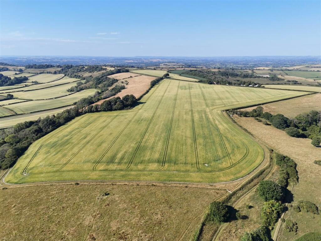 Land for sale - Image 3